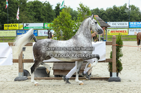 68 - Oudine (Olympia)  ( Idol x Waterman )