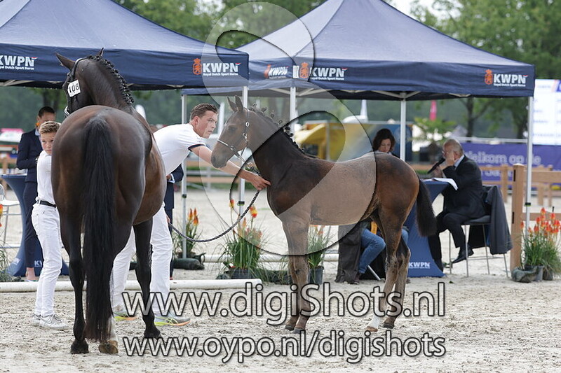 Vayen Dior Moosestables v. Furst Dior