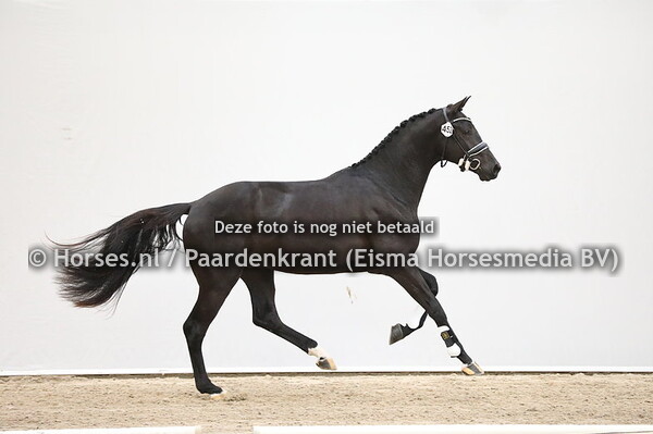 452 Governor x Rousseau