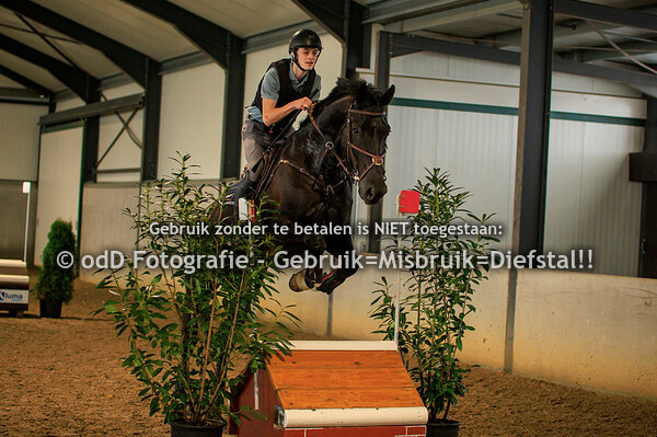 Trainingen Margo van Nijnatten Groep 4 14.15