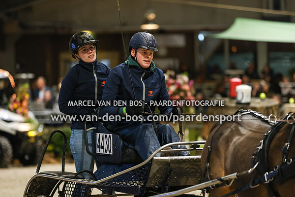 Finale enkelspan pony