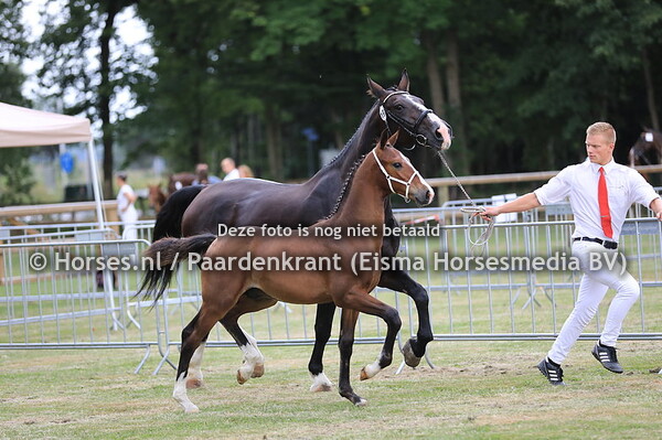 192 Olivier v Rhodium