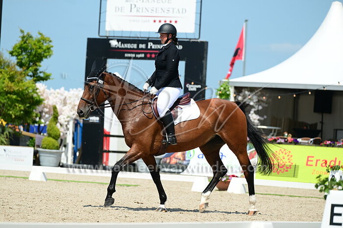 Audra de Bont - Jostella