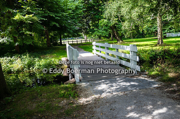 Park Clingendael, Den Haag (08.08.2025)