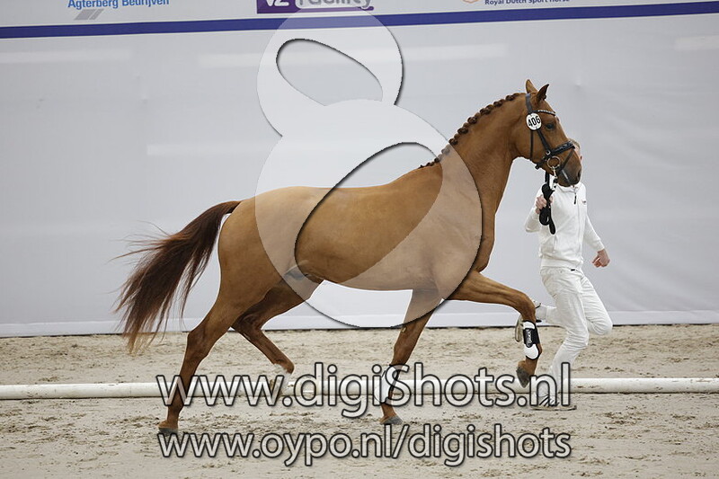 Portobello v. In Style - 406