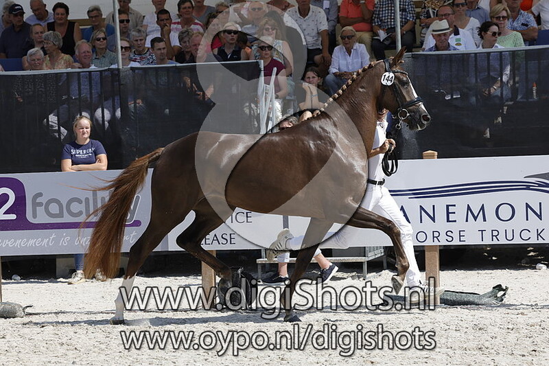 Perfect Timing v. First Lewis