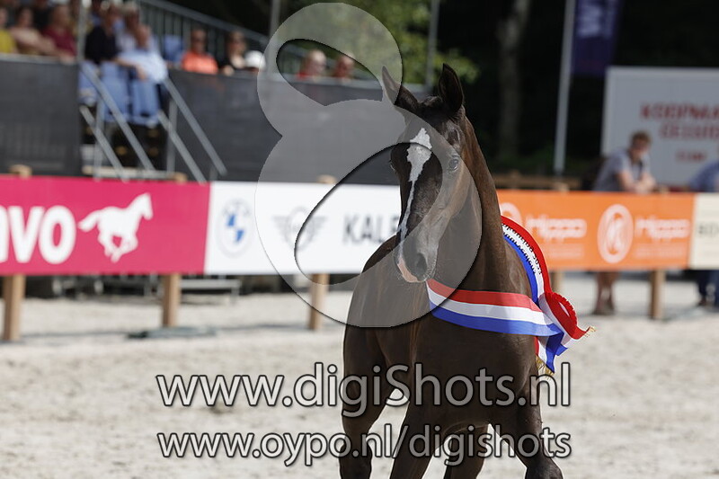 Tamina Deblin BS v. Extreme US