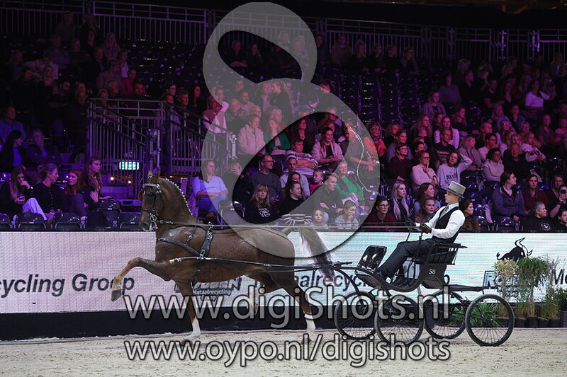 08 Fries Ras en Tuigpaarden - Finale Young Riders voor de Concourswagen