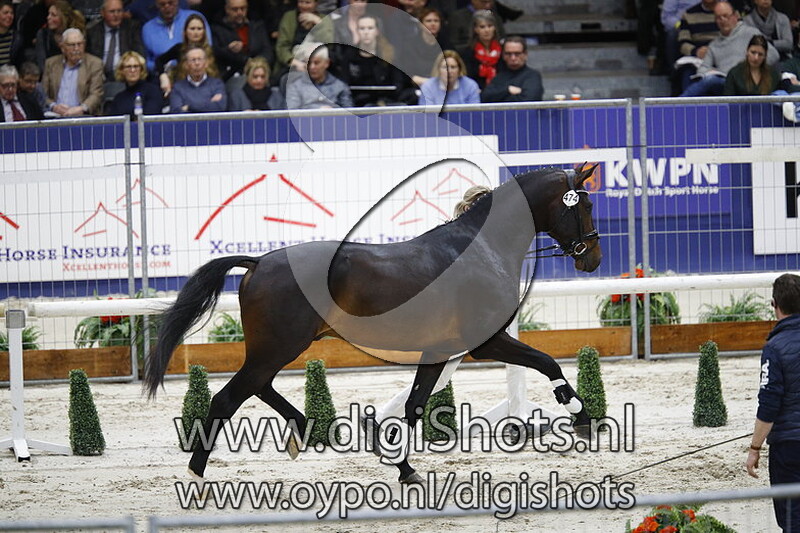 Lucky Luke v. Governor