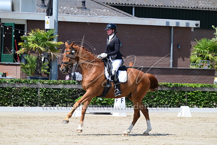 Cheyenne van Kippersluis - New Adventure