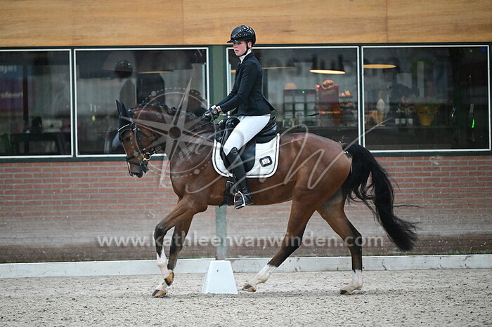 Marleen Oudega - Phoenix