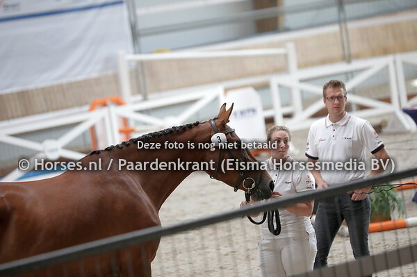 3 No Doubt-Roos (Hernandez TN x Wilderoos v. Burggraaf)