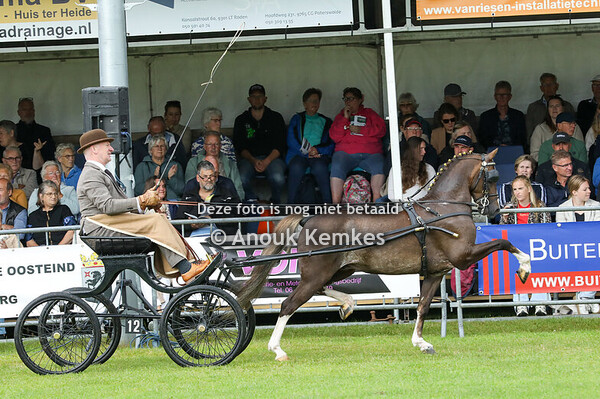 Hackney Grote Limiet