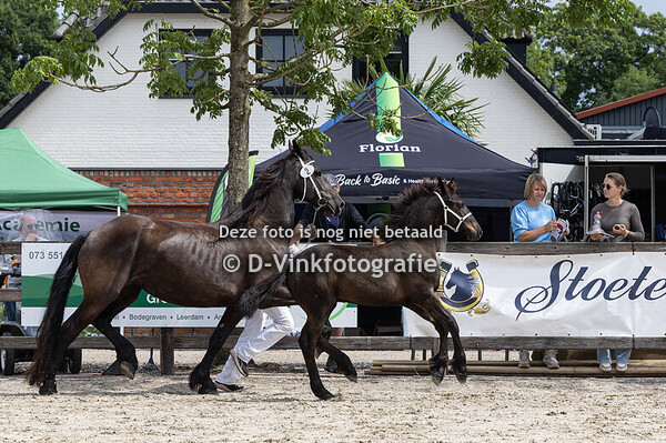 02. Douwe van de Lokven Hoeve