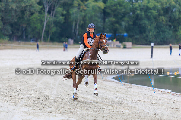 Eventing Ronostrand paard M 27-09-25