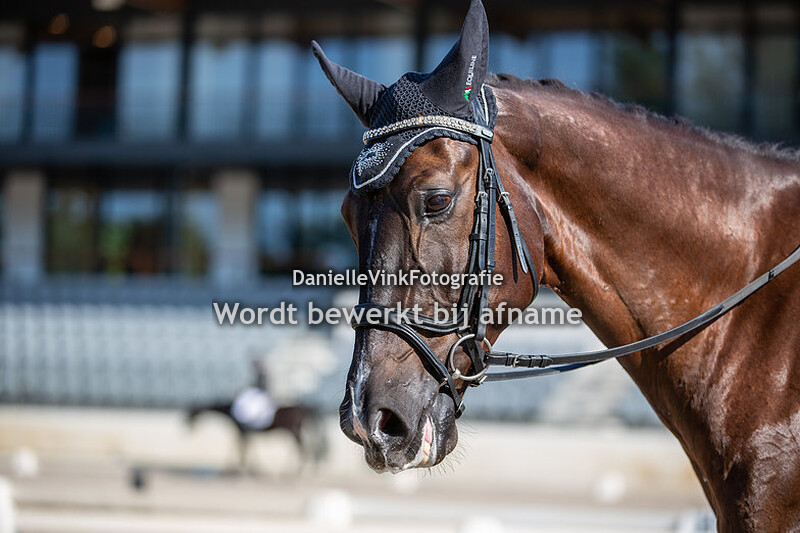 Tessie Koppen - Falconetti