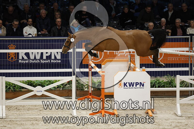 Roland Garos VDL v. Arezzo VDL - 011