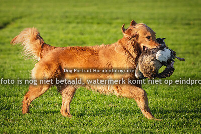 PJP Utrecht 29 oktober 2021