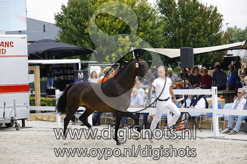 127 New Wendy v. Ebony