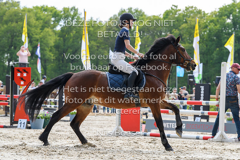 S20 Springen DE 90cm