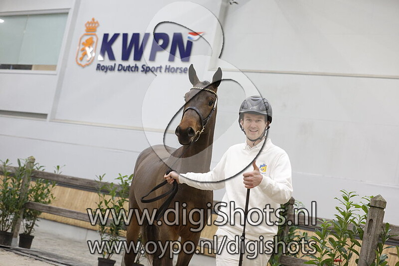 Regulus D v. Diamant De Semilly - 051