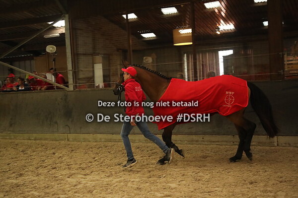 b. 14.vrijspringen 3j