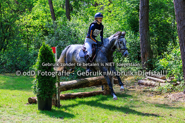 Grandorse Horsetrials Pony B 03-05-25