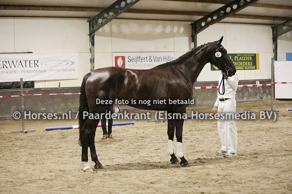 57 Ovesta MH (Kingston Blue x  Jivesta v. Everdale)