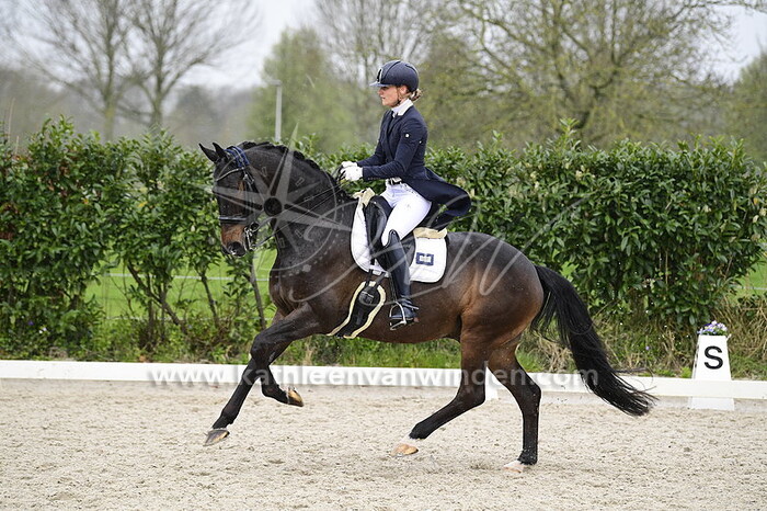 Marloe Vermeer - Zidane