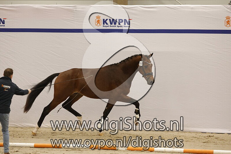 Sir Dior H v. Furst Dior