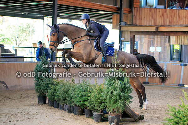 Indoor SGW De Mortel Paarden B 30-12-19