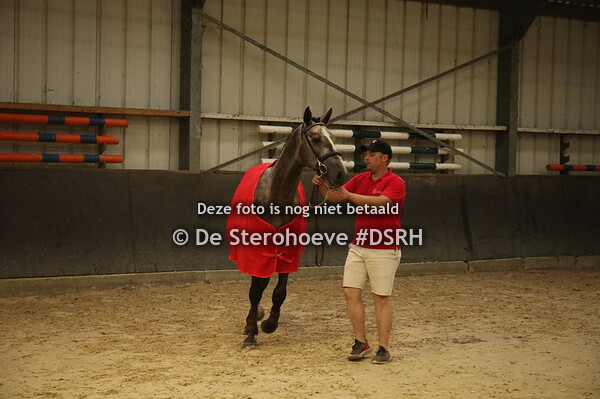 b. 13.vrijspringen 2j