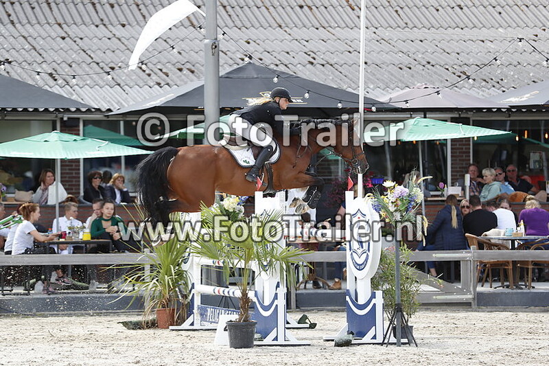 anoek van der pluijm