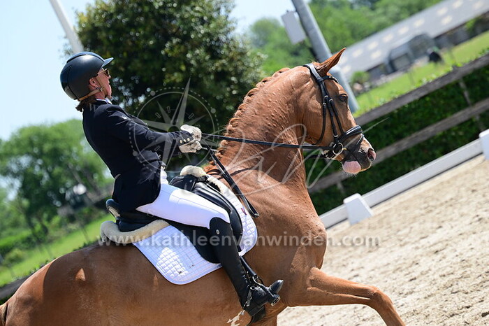 Wendy den Hartog - Enzo Ferrari