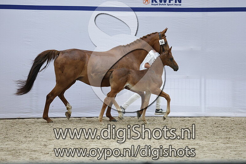 Varona O Hesseln v. Mindset ES