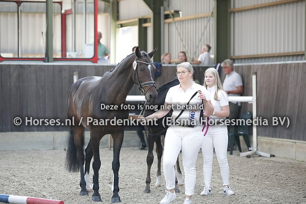 261 Erza Joline (Rock Forever x Uwe-Joline v. Oscar) met veulen