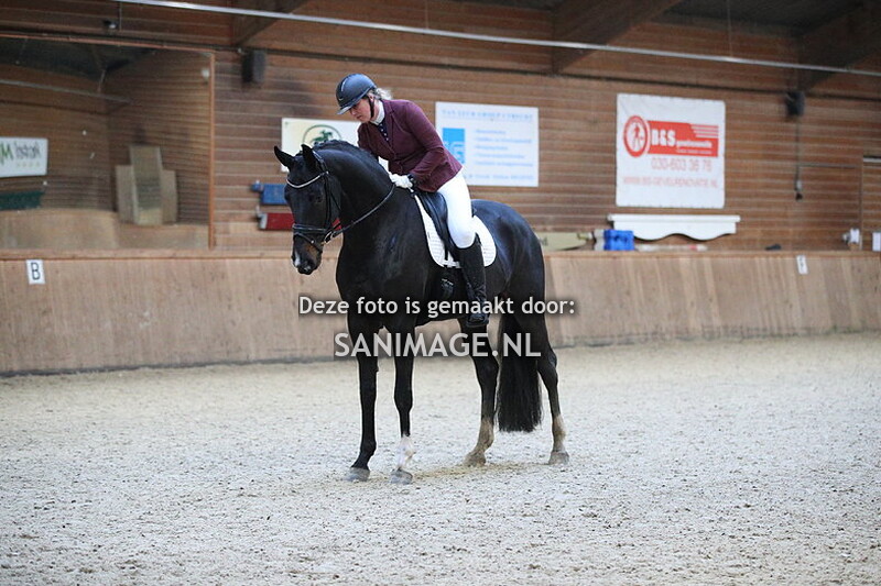 PV Midland Dressuur 12-11-2023 13.00 uur