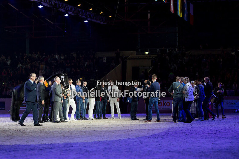 Hengstenkeuring 2018 Jurre 495