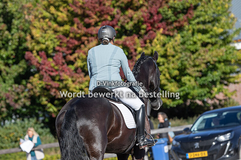 Edith de Wild - Falke van de Lokven Hoeve
