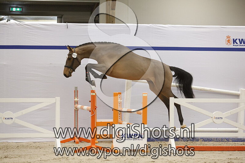 Suprise v. Newmarket VM