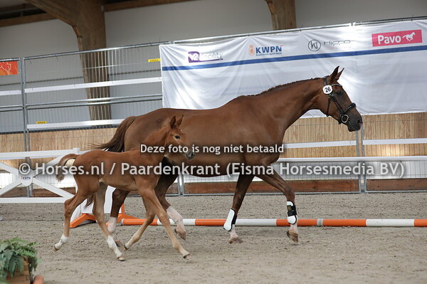 26 Cabanna- Carla (Florencio x Fleuriecarla)