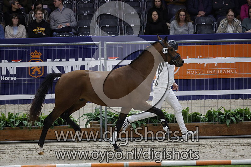 Porsche Panamera JCS v. Kilian 439