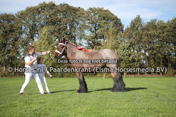 38 Lore van't Langhof (Matteo van't Rietenhof x Victoria van't Langhof)