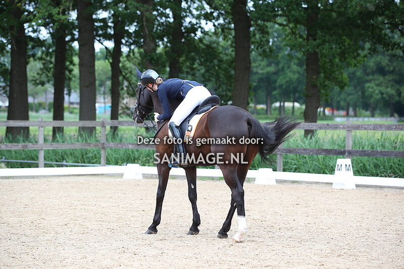 Groenewoude Dressuur 26-05-2024 11.00 uur L1