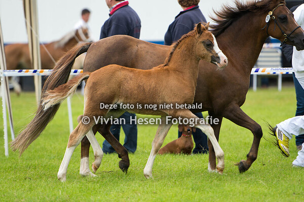 Regionale Keuring Tolbert