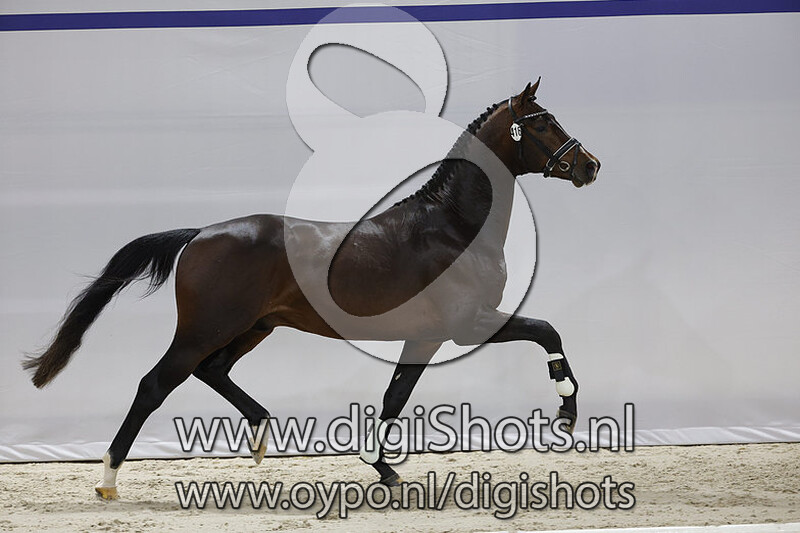 OO Grollo v. Glamourdale