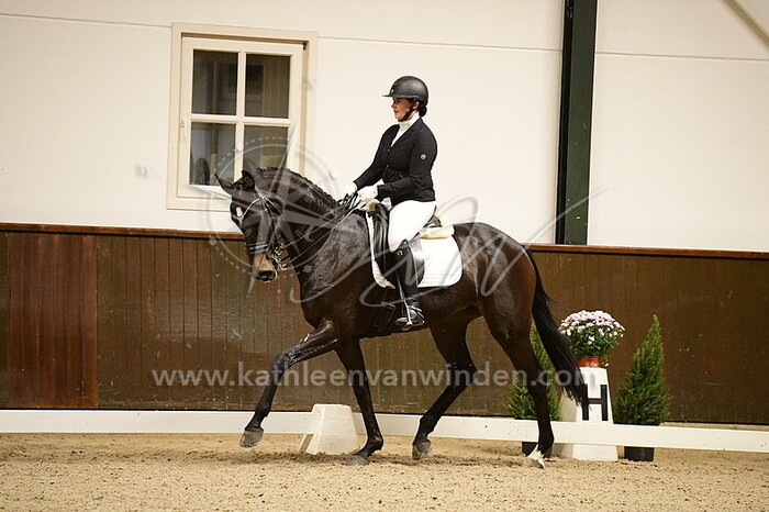 Paula van Kollenburg - Griftensteins Gramineae