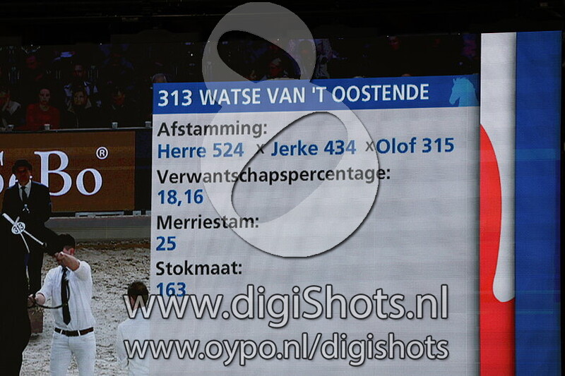 Watse van 't Oostende