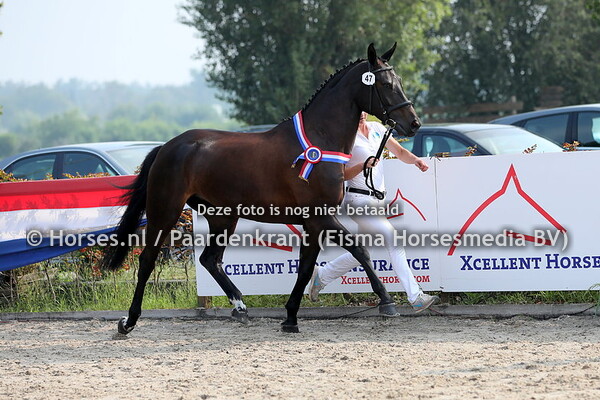 47 Juice (Starpower x Gucci v. Grossadmiral) 1