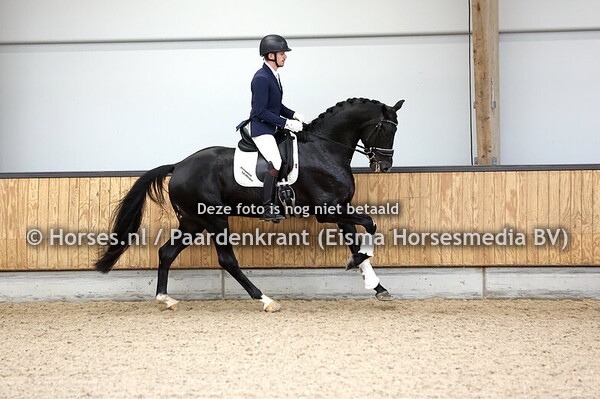 43 Raece's (Jameson RS2 x Glock's Toto jr)